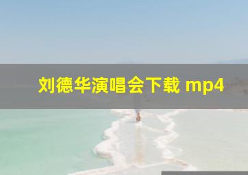 刘德华演唱会下载 mp4